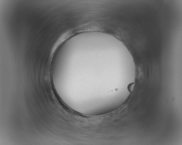 X0000062170004200512231639