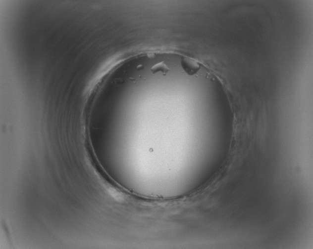 X0000062170005200512231639