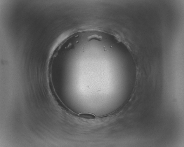 X0000062170006200512231639