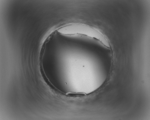 X0000062170007200512231638