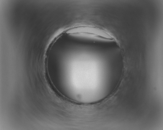 X0000062170008200512231638