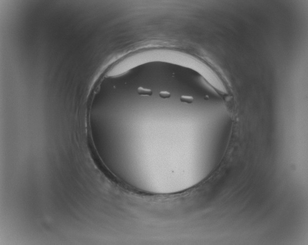 X0000062170011200512231638