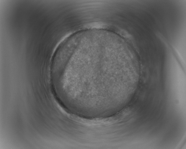 X0000062170012200512231638