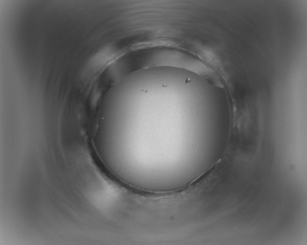 X0000062170013200512231638