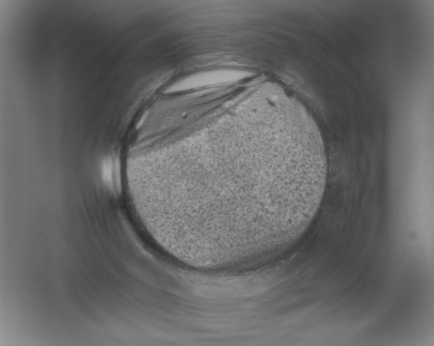 X0000062170014200512231638