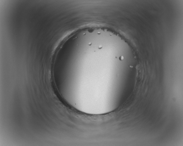 X0000062170015200512231638