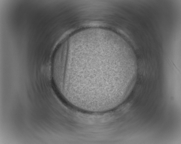 X0000062170016200512231638