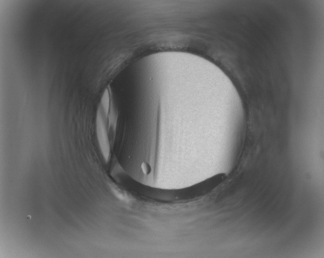 X0000062170017200512231638