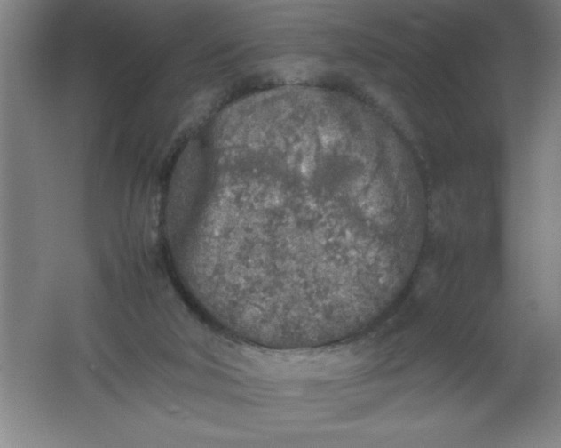 X0000062170018200512231638