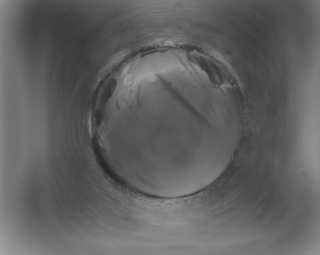 X0000062170019200512231638