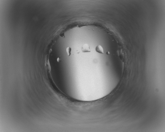 X0000062170021200512231638