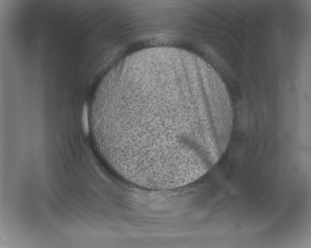 X0000062170022200512231638