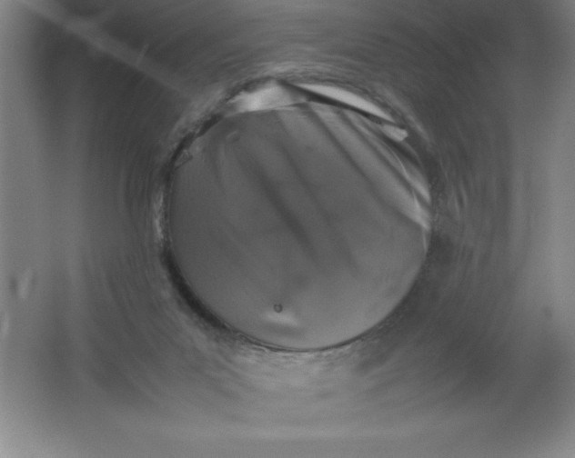 X0000062170023200512231638