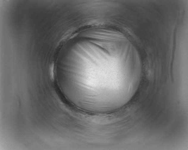 X0000062170024200512231638