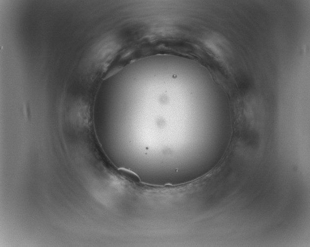 X0000062170025200512231638