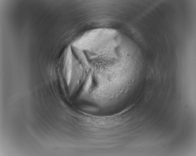 X0000062170026200512231638