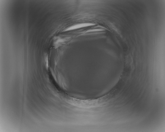 X0000062170027200512231638