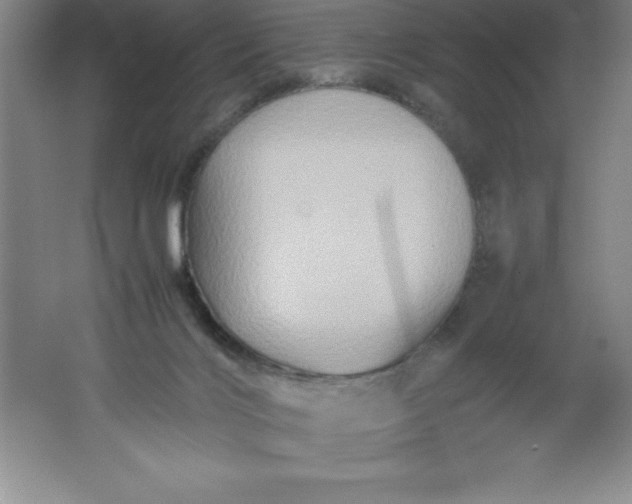 X0000062170028200512231638