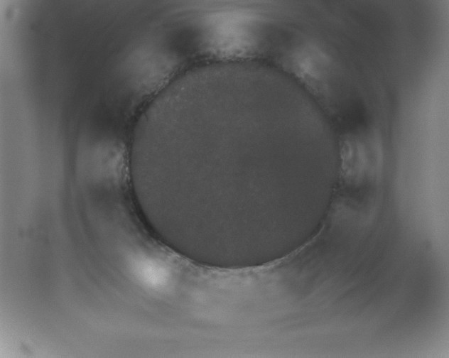 X0000062170029200512231638