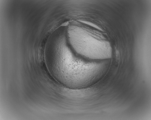 X0000062170030200512231638