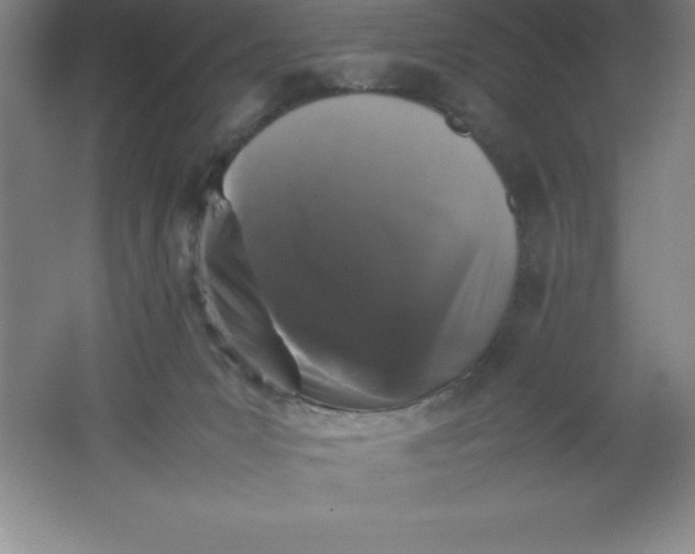 X0000062170031200512231638