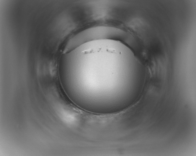 X0000062170033200512231638