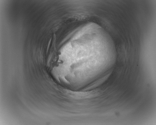 X0000062170034200512231638