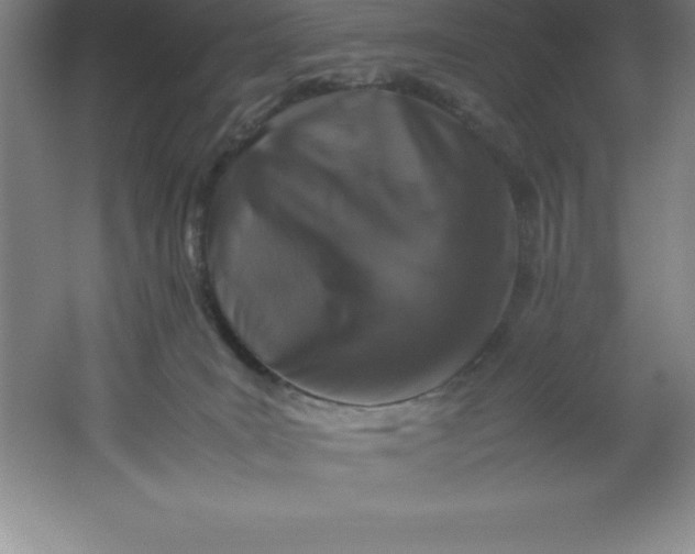 X0000062170035200512231638