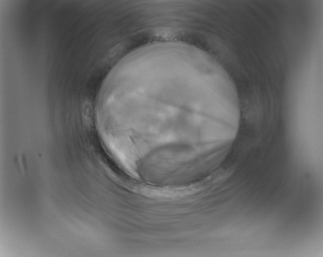 X0000062170036200512231638