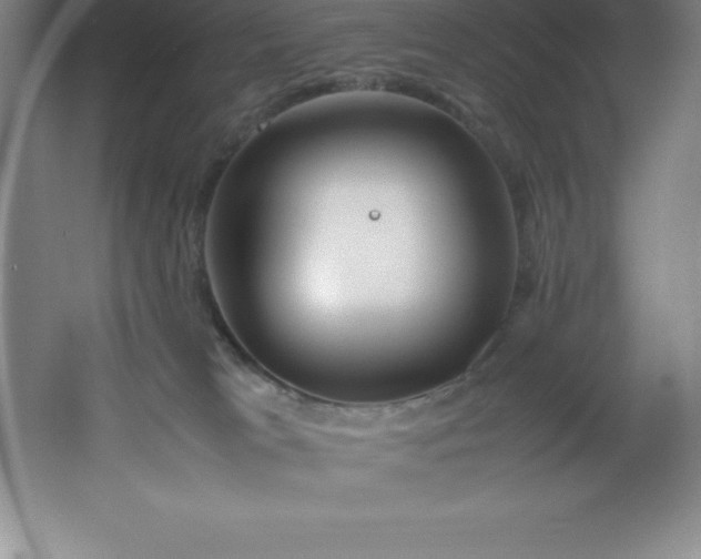 X0000062170037200512231638