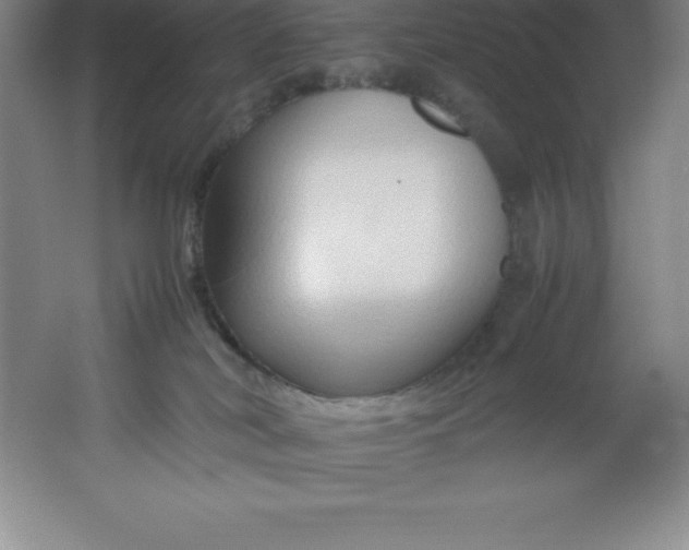 X0000062170038200512231638