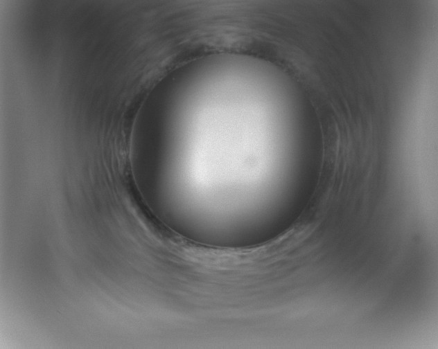 X0000062170040200512231638