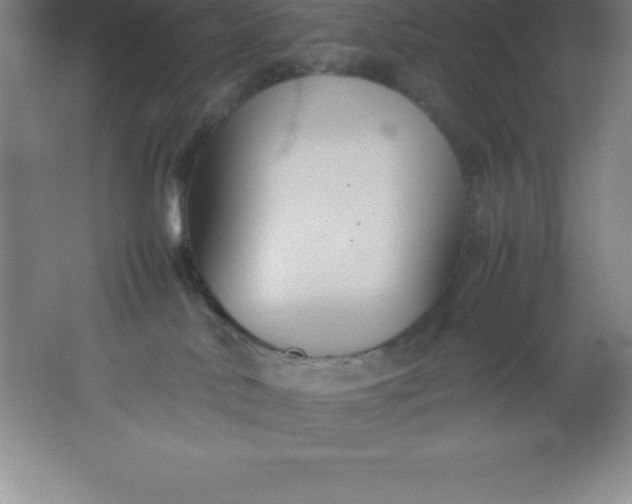 X0000062170042200512231638