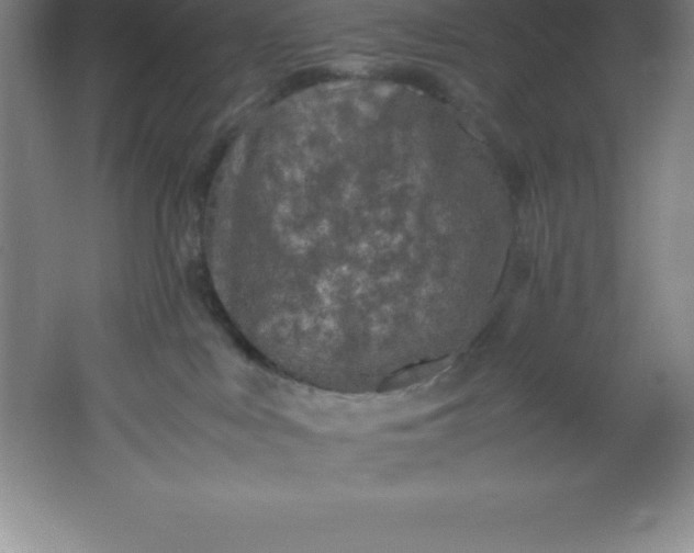 X0000062170043200512231638