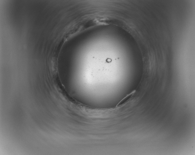 X0000062170044200512231638