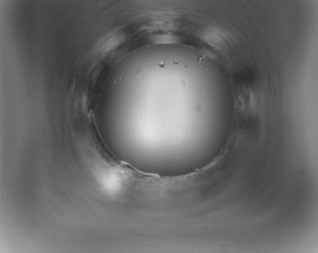 X0000062170045200512231638