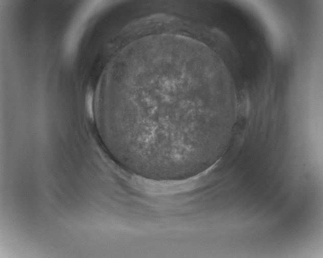 X0000062170047200512231638