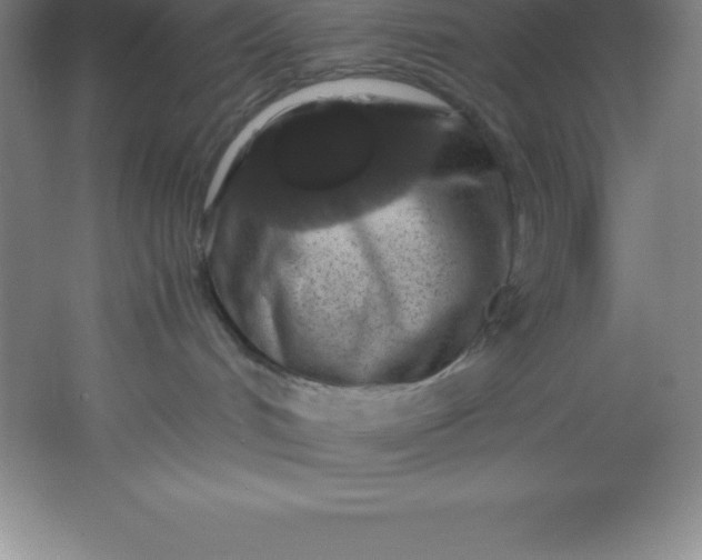 X0000062170048200512231638