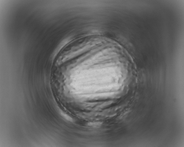 X0000062170051200512231637