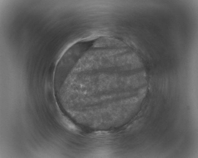 X0000062170052200512231637