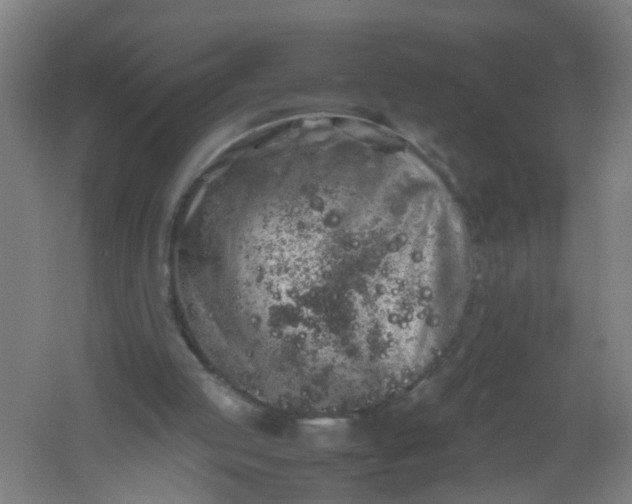 X0000062170053200512231637