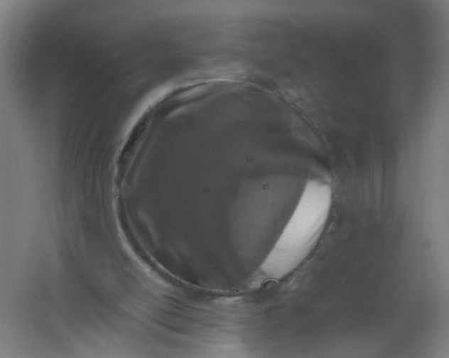 X0000062170054200512231637