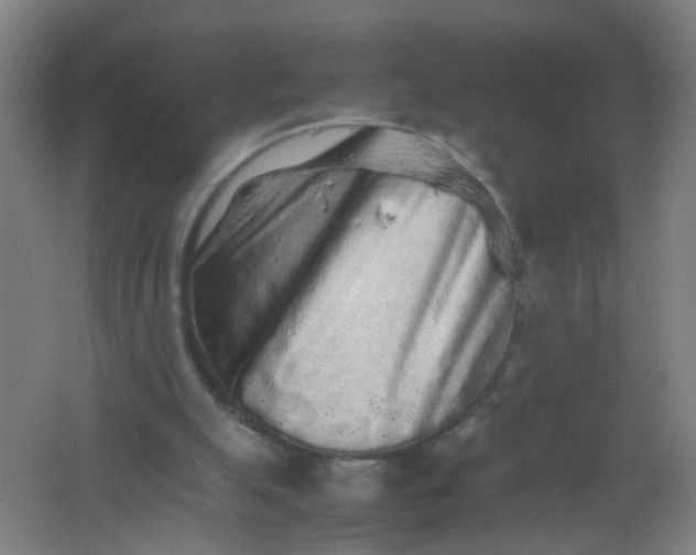 X0000062170055200512231637