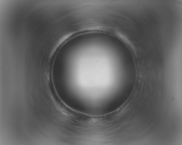 X0000062170060200512231637