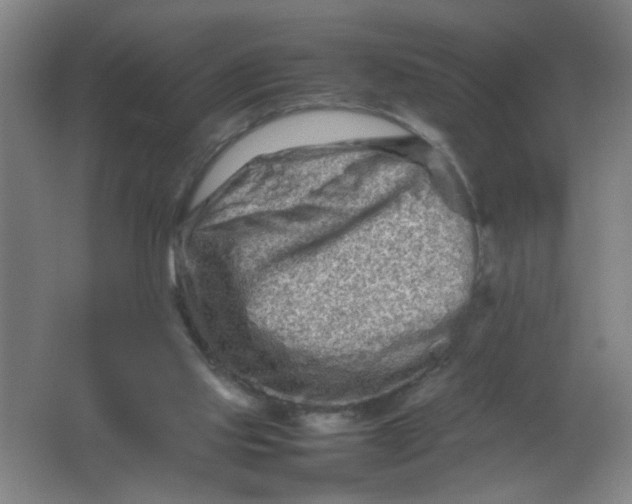 X0000062170061200512231637