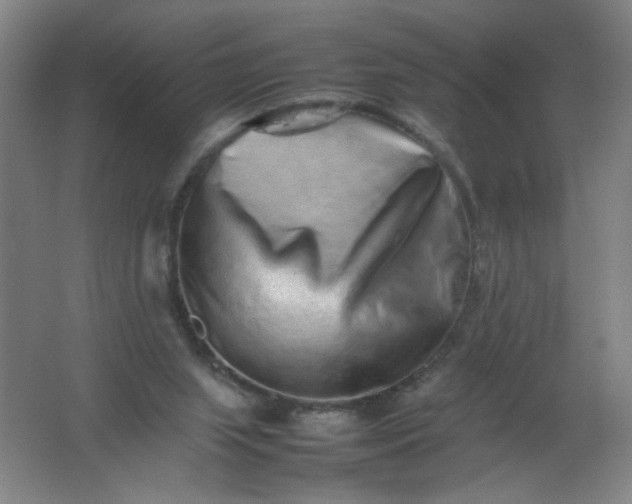 X0000062170063200512231637