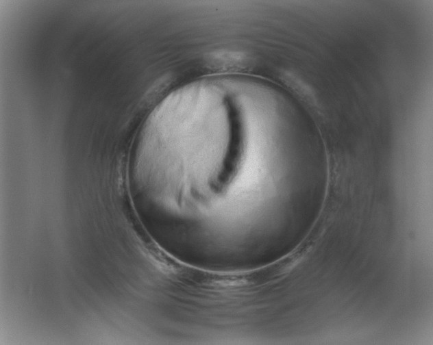 X0000062170065200512231637