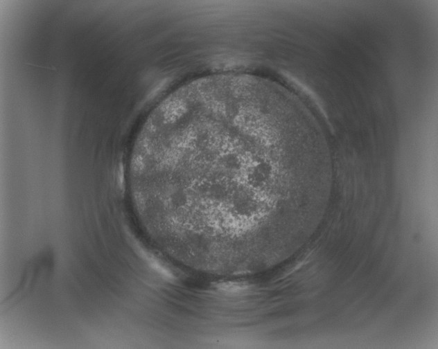 X0000062170067200512231637