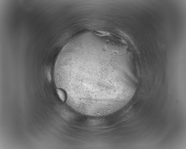 X0000062170069200512231637