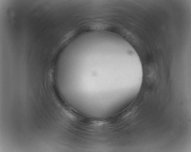 X0000062170071200512231637